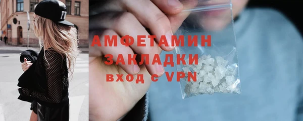 твердый Бородино