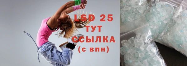 твердый Бородино