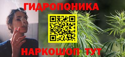 стаф Кинель
