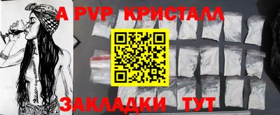 стаф Кинель