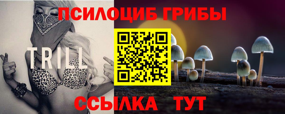 Кузнецк  Галлюциногенные грибы Cubensis  Вход с VPN 